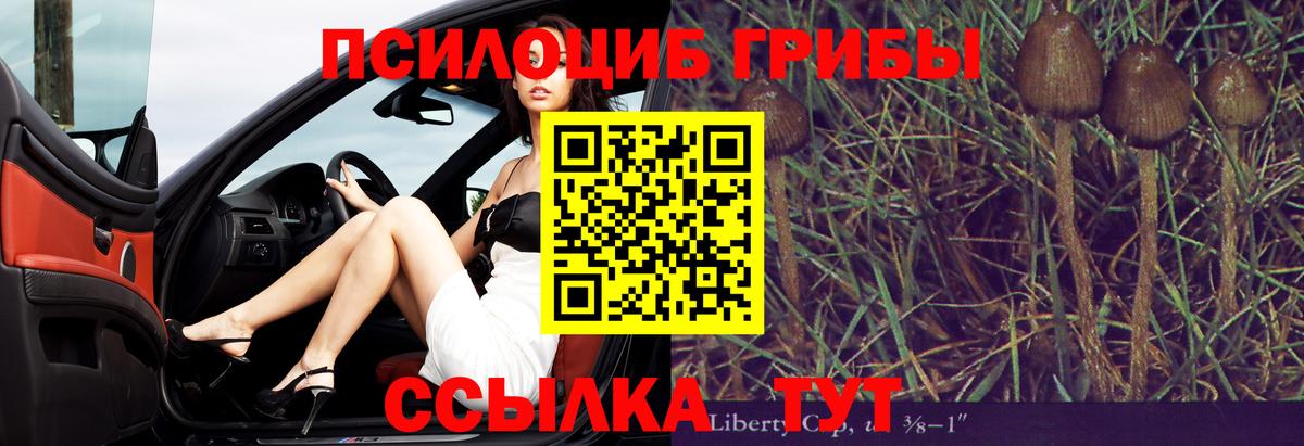 Барнаул  Галлюциногенные грибы мухоморы  даркнет сайт  Вход с VPN 